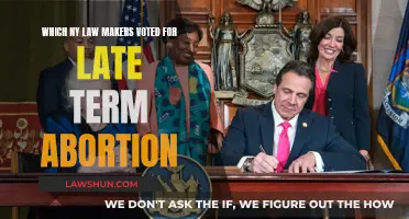 Who in NY Law Supports Late-Term Abortion?