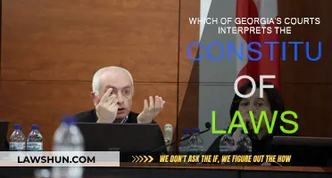 Georgia's Court System: Interpreting Constitutionality of Laws