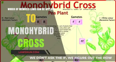 Mendel's Laws: Understanding Monohybrid Crosses