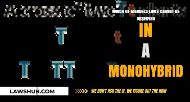 Monohybrid Cross Limitations: Mendel's Law of Independent Assortment Unobservable