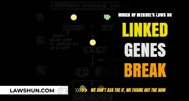 Mendel's Laws: When Linked Genes Challenge the Rules