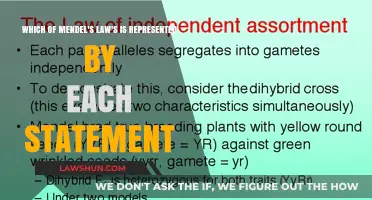 Understanding Mendel's Laws: Decoding Genetic Statements and Their Principles