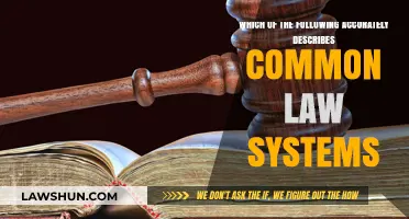Understanding Common Law Systems: Key Characteristics