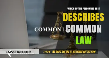 Understanding the Fundamentals of Common Law