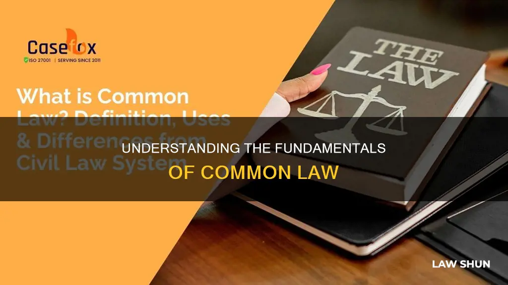 which of the following best describes common law