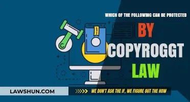 Protecting Your Creations: Understanding Copyright Law