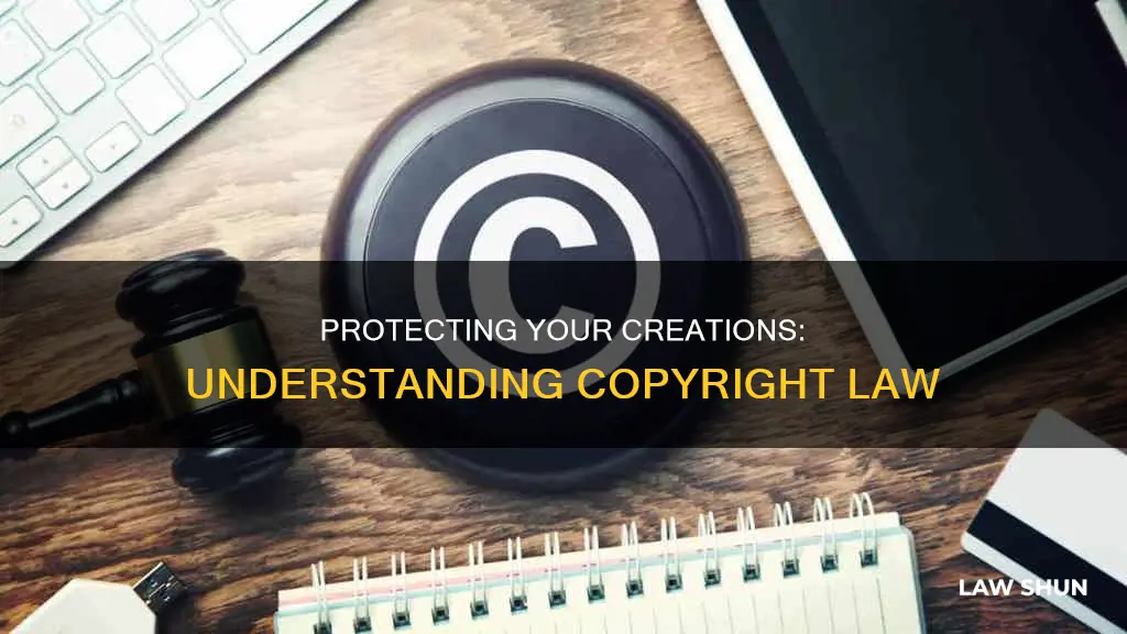 which of the following can be protected by copyroggt law