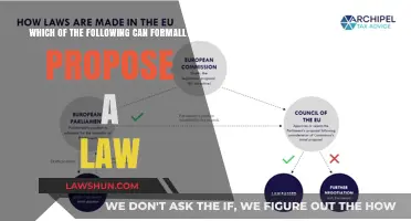 Who Can Propose a Law?