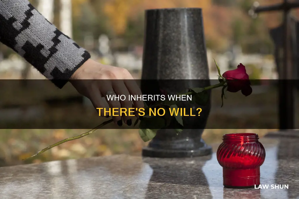 which of the following can inherit under most intestacy laws