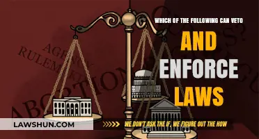 Who Holds the Veto Power?