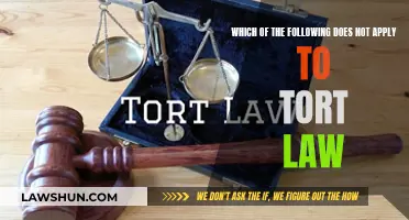 Tort Law: What's the One Exception?