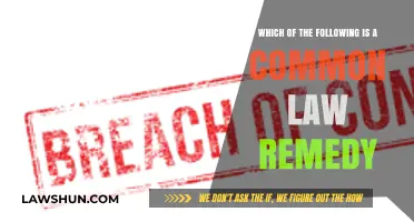 Common Law Remedies: What Are Your Options?