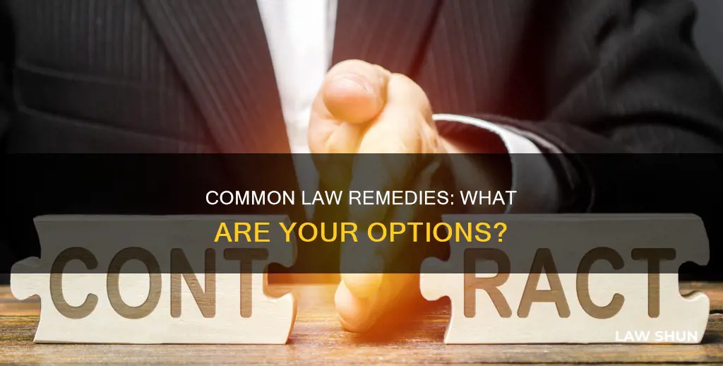 which of the following is a common law remedy