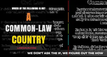 Common Law: Which Country Is the Odd One Out?