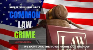 Common Law Crimes: What's the Odd One Out?