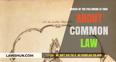 Common Law: Understanding Its Core Principles
