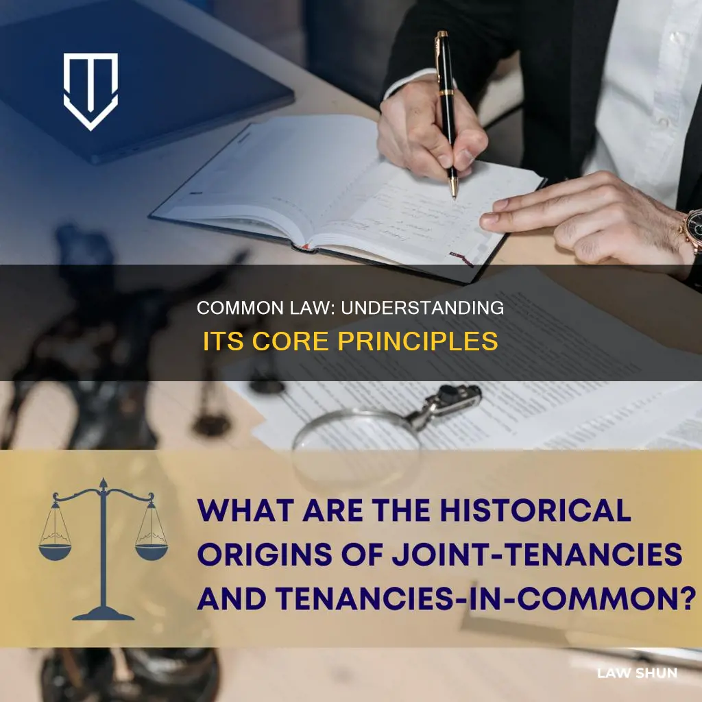 which of the following is true about common law