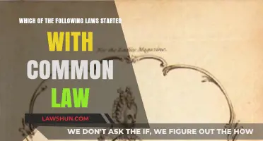 Common Law Origins: Understanding Legal Fundamentals