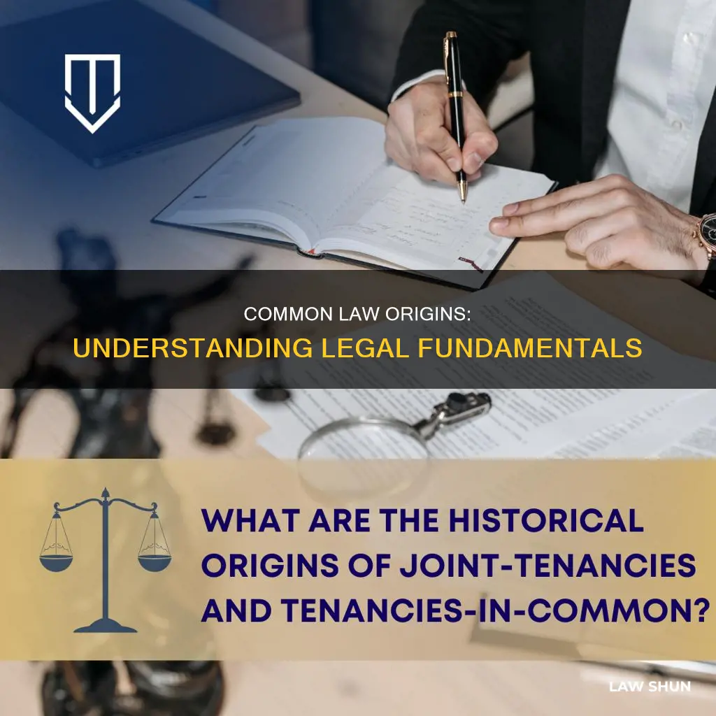 which of the following laws started with common law