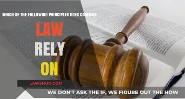 Common Law Principles: Understanding the Foundation