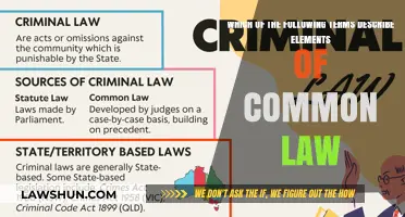Key Terms of Common Law Explained