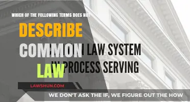 Key Differences Between Common Law and Other Legal Systems