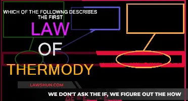 Understanding the First Law of Thermodynamics: Energy Conservation