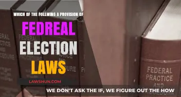 Understanding Federal Election Laws: Key Provisions Explained