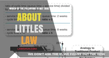 Little's Law Misconceptions: Debunking a Common Myth in Queueing Theory