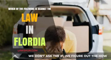 Unlawful Acts in Florida: What’s Against the Law in the Sunshine State?
