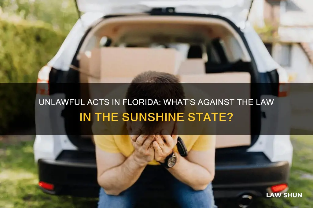 which of the folowing is against the law in flordia