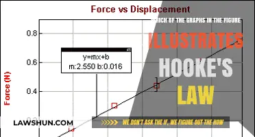 Understanding Hooke's Law: Identifying the Correct Graph Representation