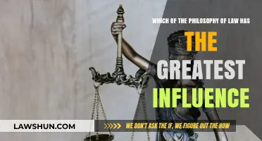 Legal Philosophy's Impact: Which Theory Shapes Modern Law Most?