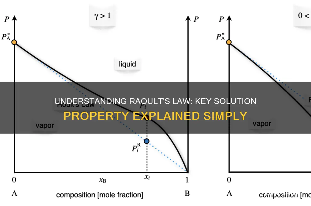 which of the solution