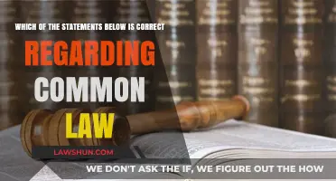 Common Law: Understanding the Correct Statement
