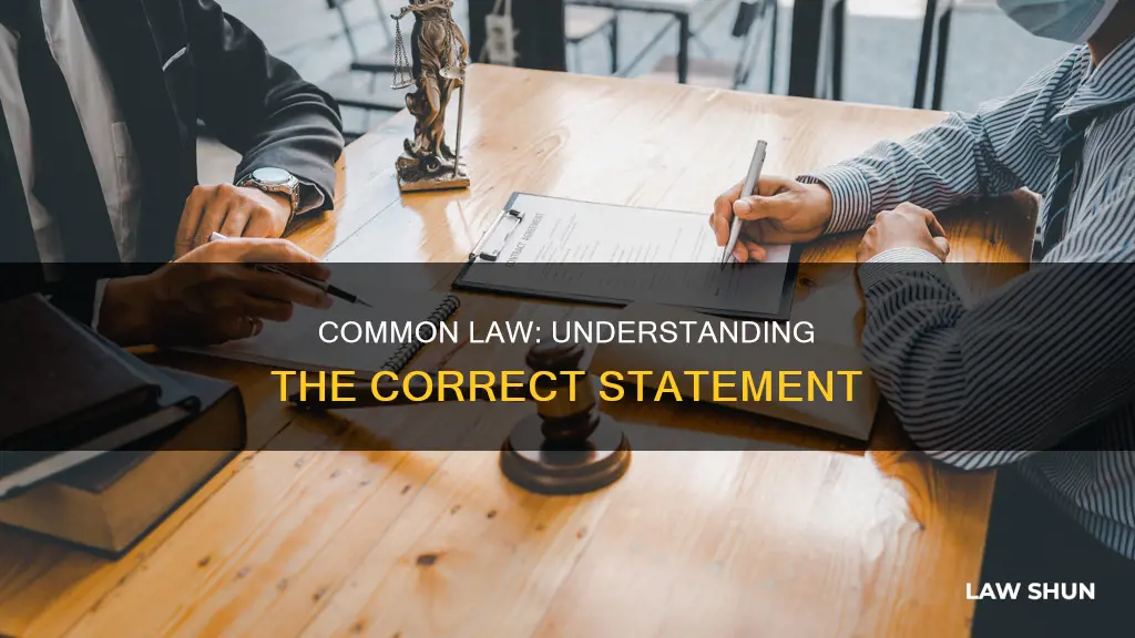 which of the statements below is correct regarding common law
