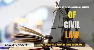 Understanding Civil Law: Key Concerns and Legal Matters Explained