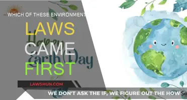 Environmental Laws: A Historical Perspective