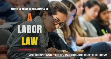 Understanding Labor Laws: Identifying Key Examples in the Workplace