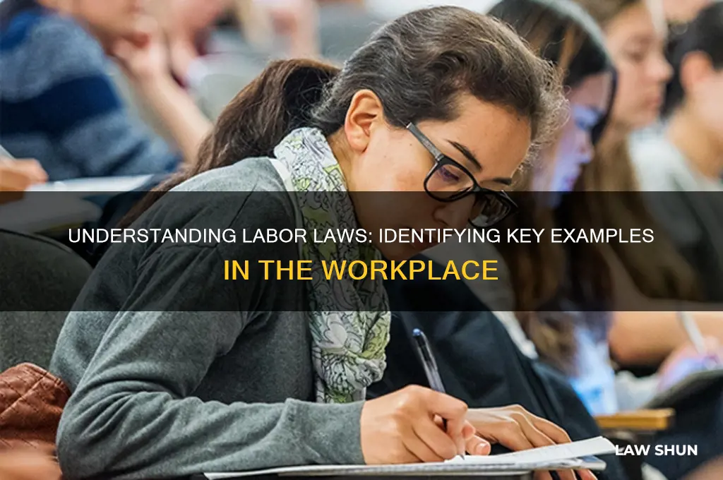 which of these is an example of a labor law