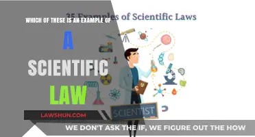 Understanding Scientific Laws: Examples and Key Characteristics Explained