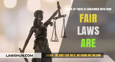Exploring Justice: Which Aspect Focuses on the Fairness of Laws?