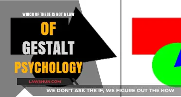 Unraveling Gestalt Psychology: Identifying the Non-Law in the Principles