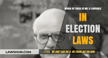 Unveiling Election Law Myths: What's Not a Loophole?