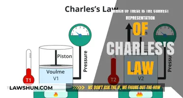 Understanding Charles's Law: Identifying the Accurate Representation and Formula
