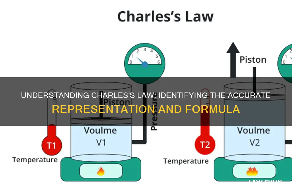 which of these is the correct representation of charles