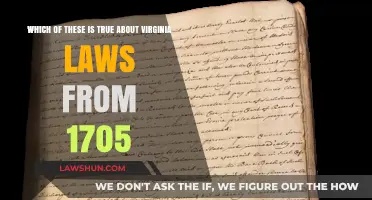 Unveiling Virginia's 1705 Laws: Surprising Truths and Historical Insights