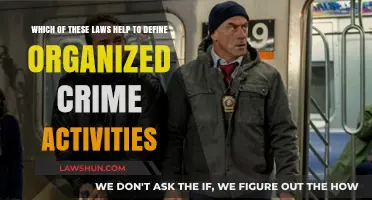 Understanding Organized Crime: Key Laws Defining Criminal Activities