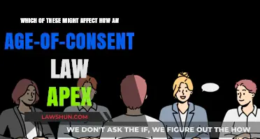 Factors Influencing Age-of-Consent Laws: Key Considerations and Impacts