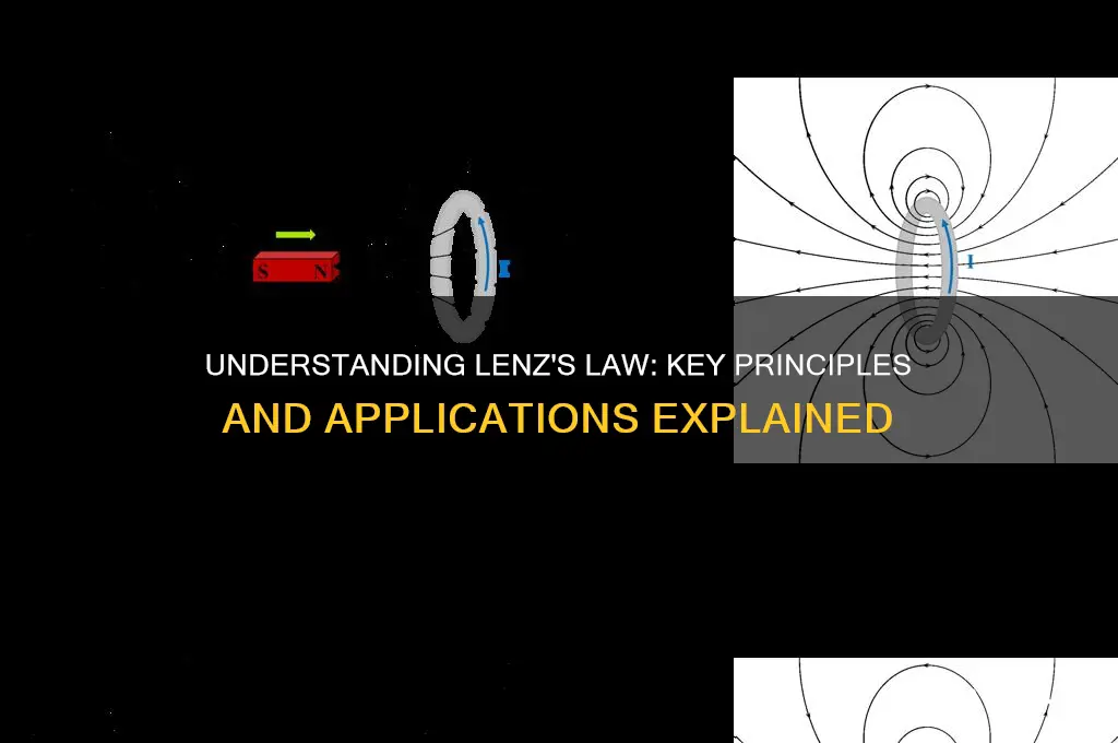 which of these statements best summarizes lenz